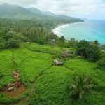 Maui's Resilience: Gemeinschaftliche Heilung durch nachhaltige Ernährung Mauis 1