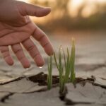 Wachstum durch Widerstandsfähigkeit annehmen