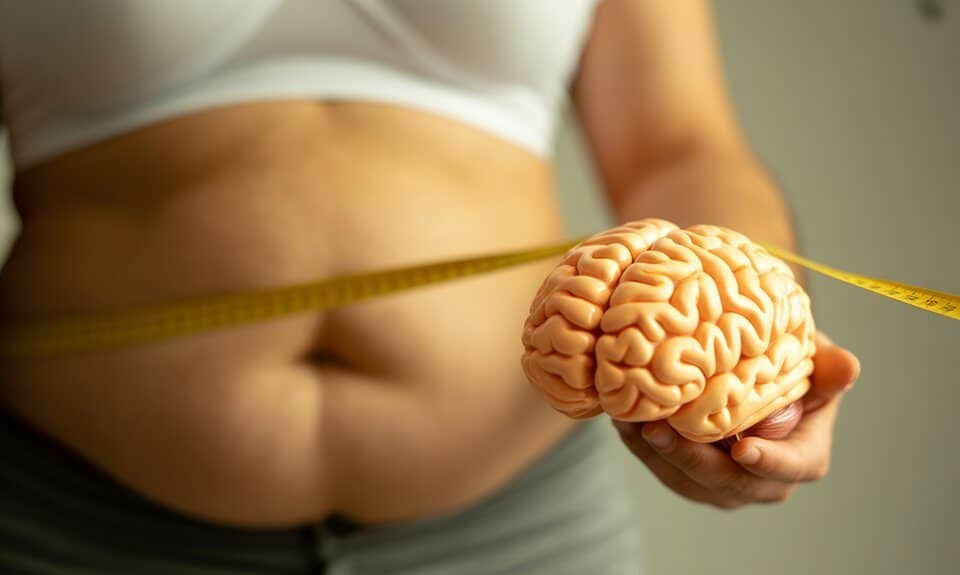 Bauchfett verlieren nützt dem Gehirn