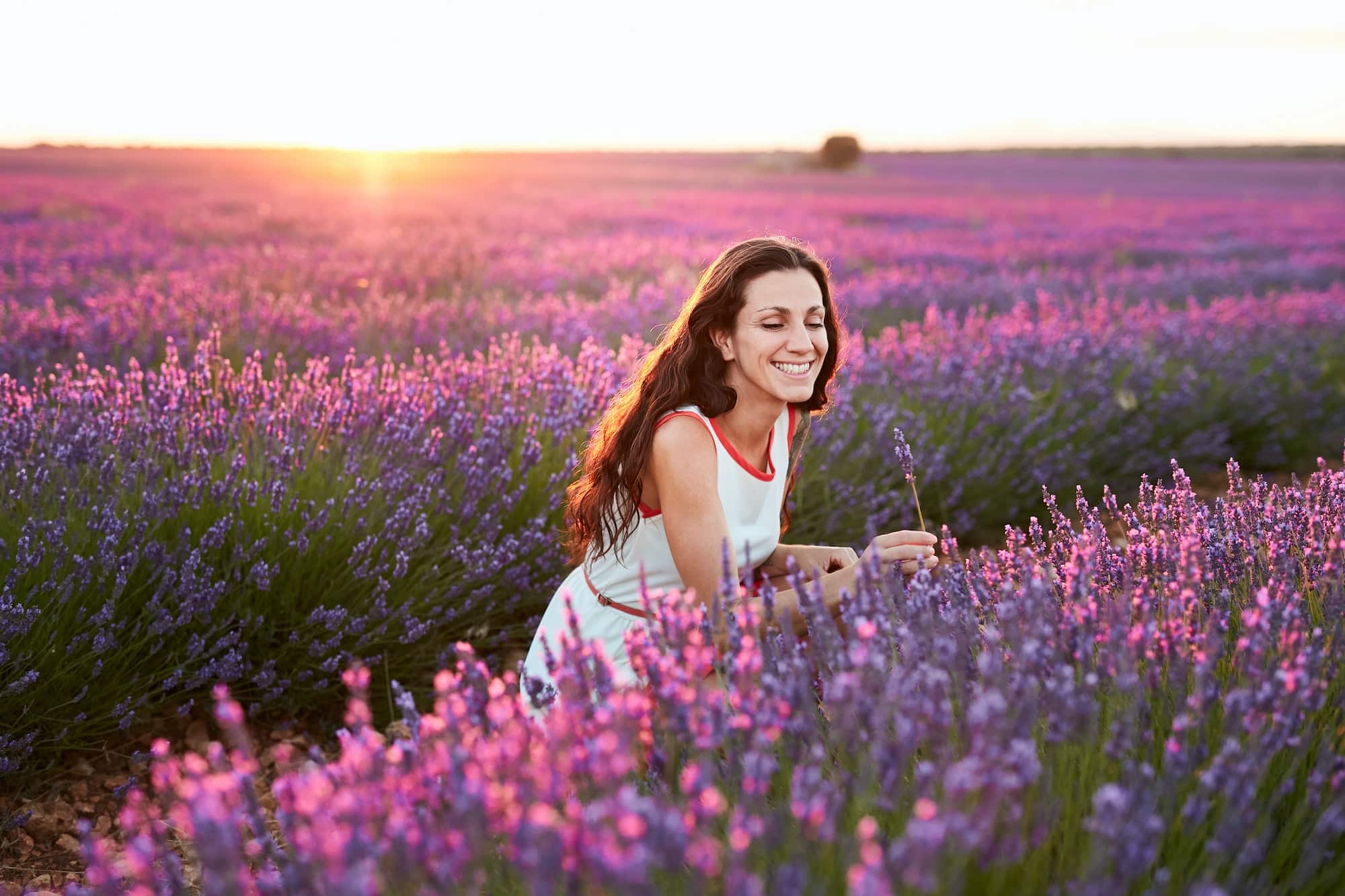 Woman standing between big violet lavender field at sunset